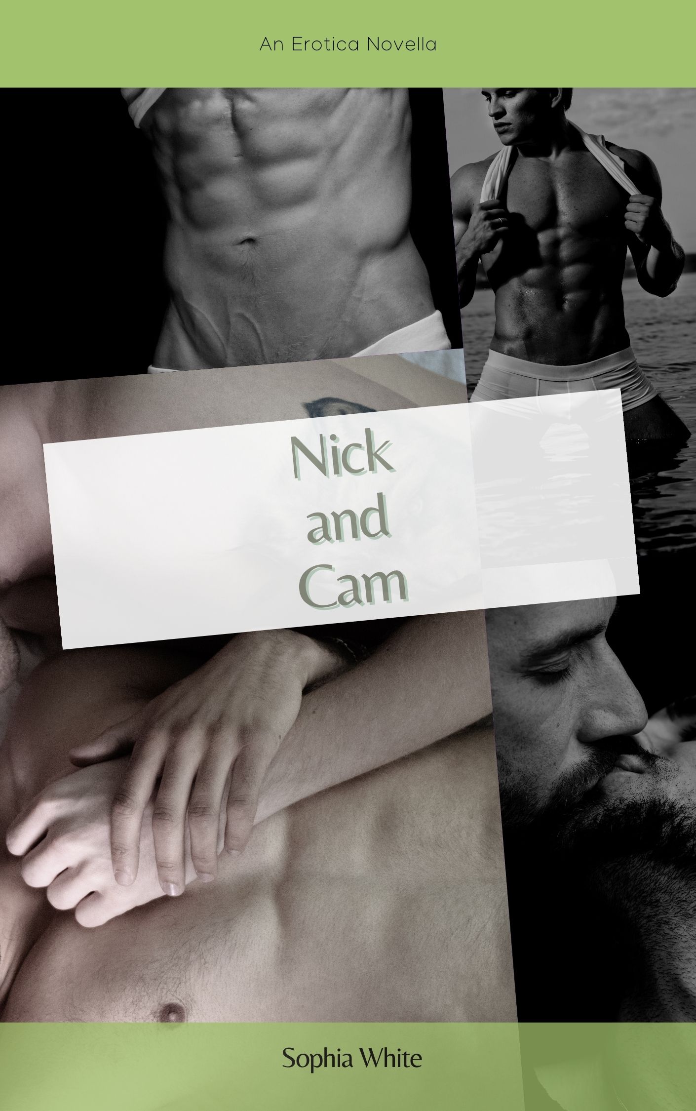 Nick and Cam: An Erotic Short Story