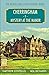 Mystery at the Manor: A Cherringham Cosy Mystery