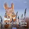 Leben mit Eichhörnchen in der Stadt Leben mit Eichhörnchen in der Stadt