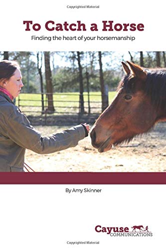 To Catch A Horse: Finding the Heart of Your Horsemanship (Paperback)