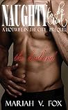 Naughty To Do Lis...