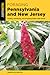 Foraging Pennsylvania and New Jersey (Foraging Series)