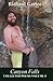 Canyon Falls: Collected Poe...