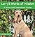 Larry's Words of Wisdom, A Yellow Lab's Inspirational Quotes by Barbara Renner