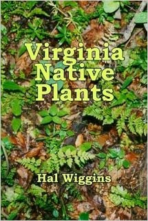 Virginia Native Plants