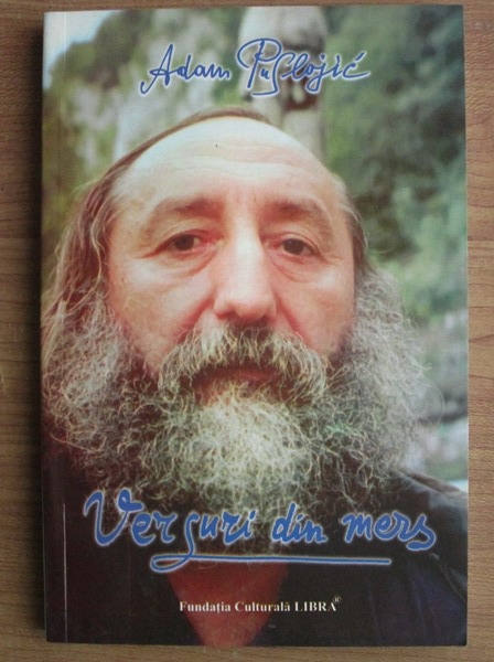 Versuri din mers