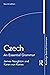 Czech: An Essential Grammar