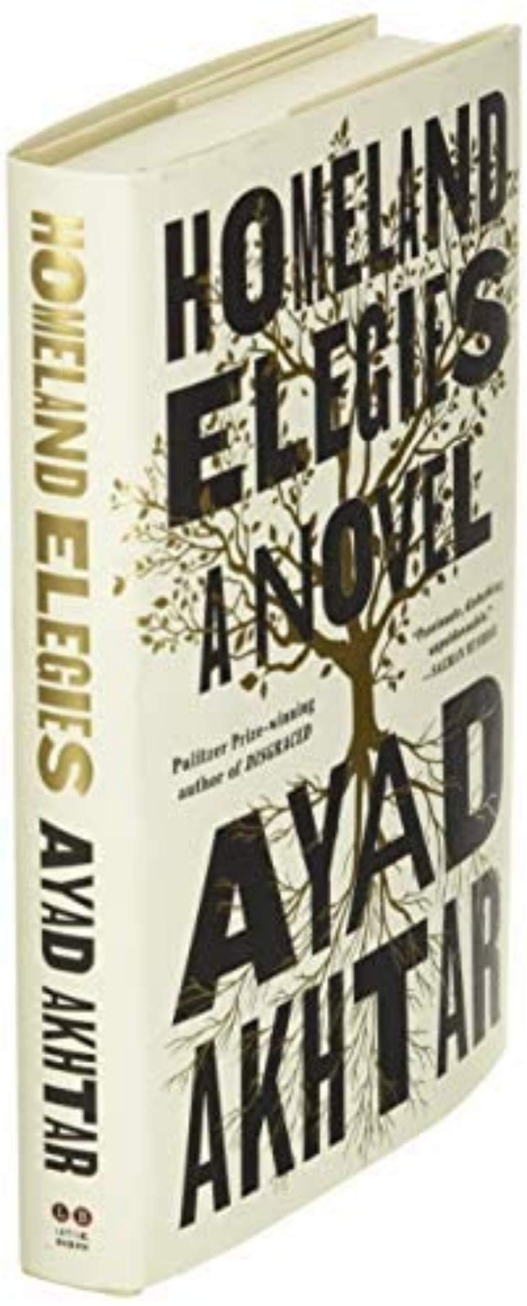 Homeland Elegies