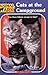 Cats at the Campground (Animal Ark, #32)