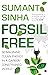 Fossil Free: Reimagining Clean Energy in a Carbon-Constrained World