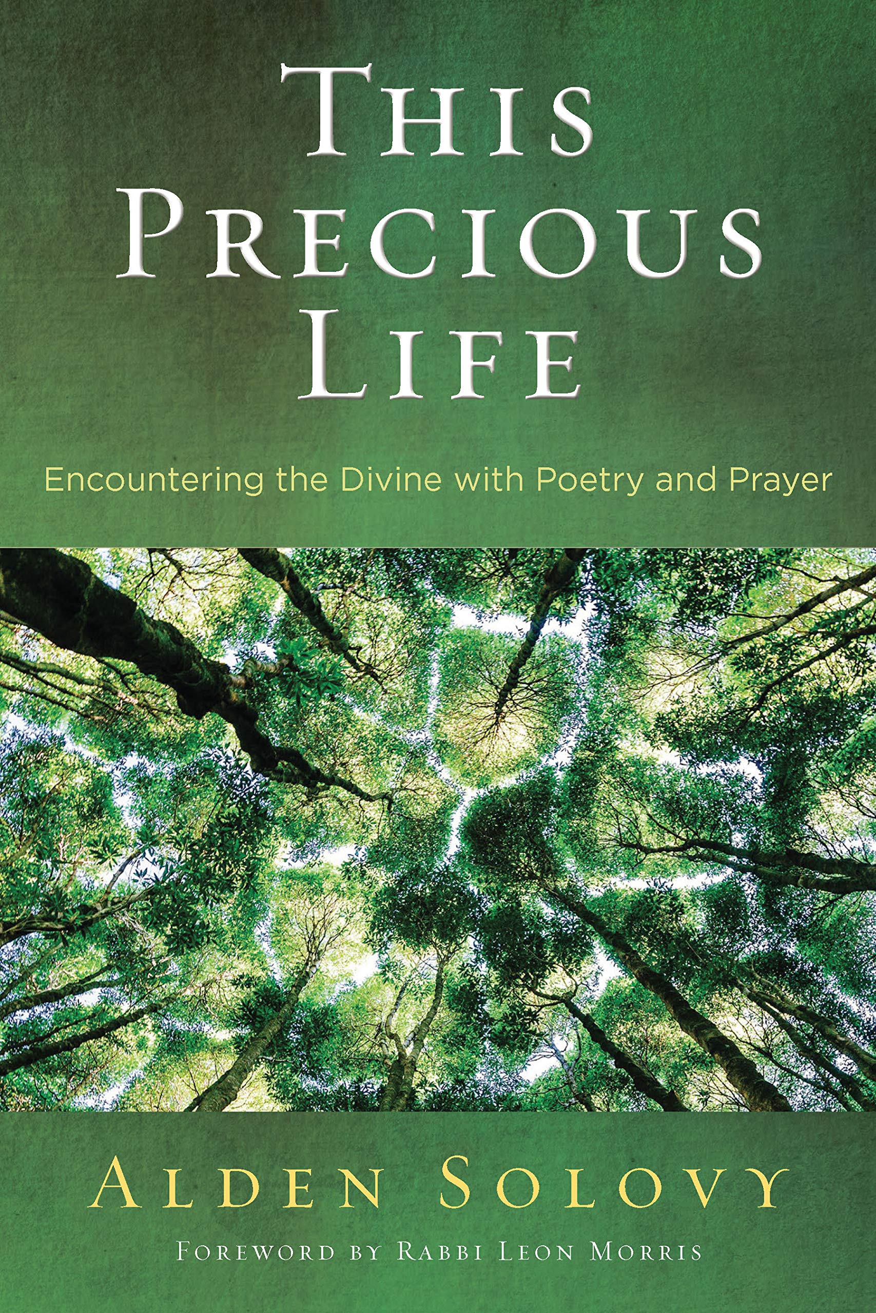 This Precious Life: Encountering the Divine with Poetry and Prayer (Kindle Edition)