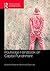 Routledge Handbook on Capit...