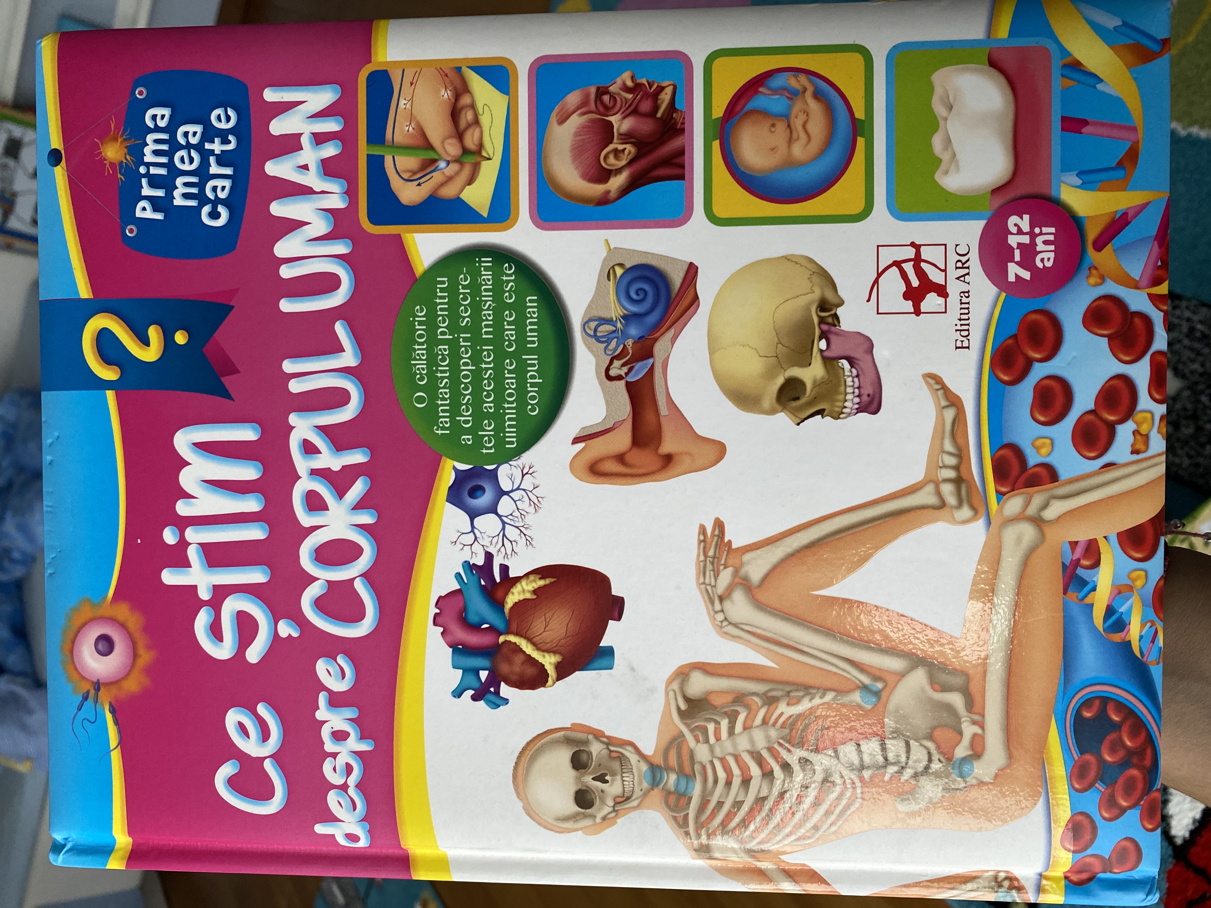 Ce stim despre corpul uman