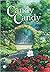 Candy Candy. Il romanzo completo