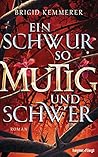 Ein Schwur so mutig und schwer by Brigid Kemmerer