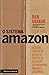 O Sistema Amazon