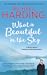 What is Beautiful in the Sky: A book about endings and beginnings