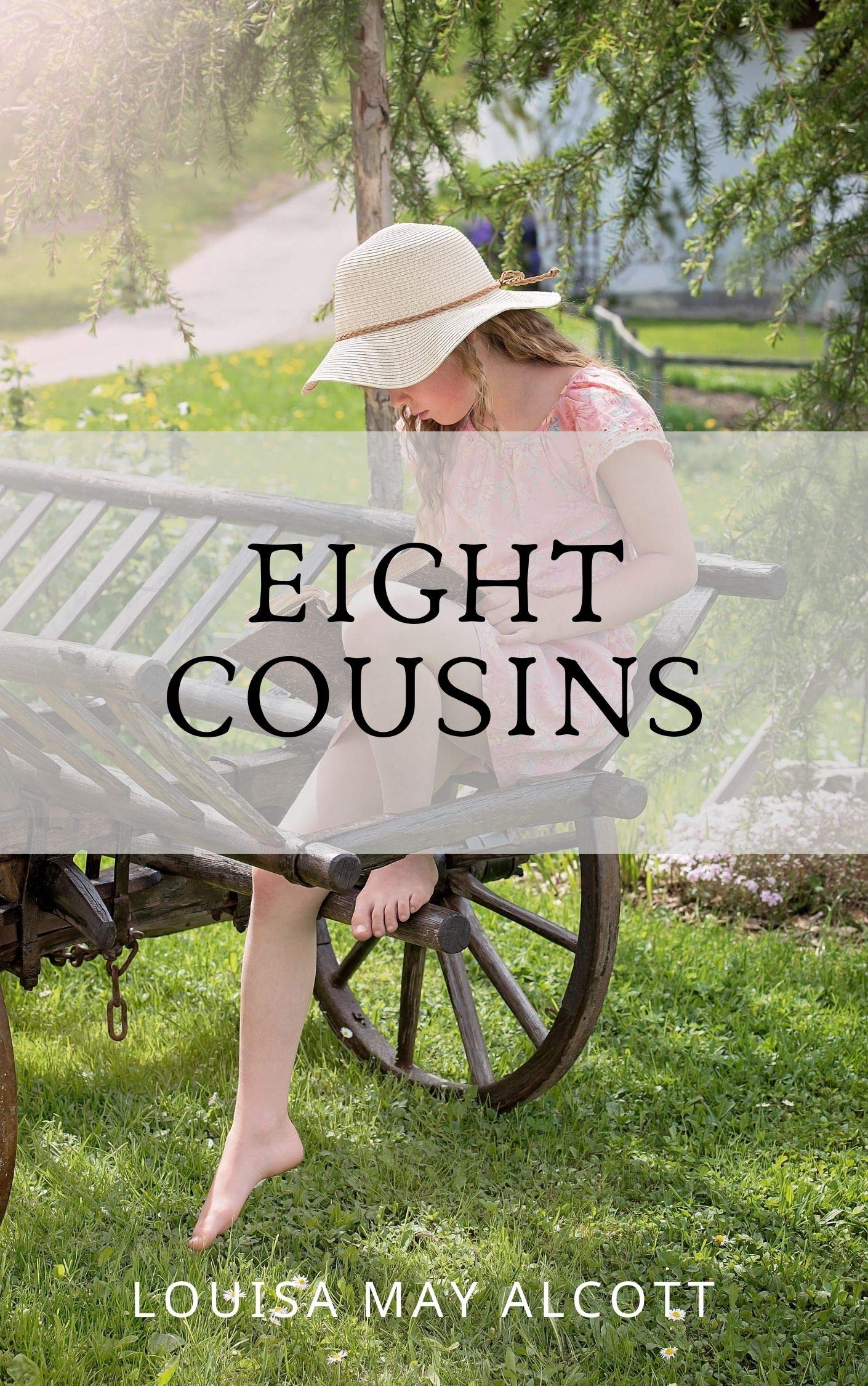 Eight Cousins