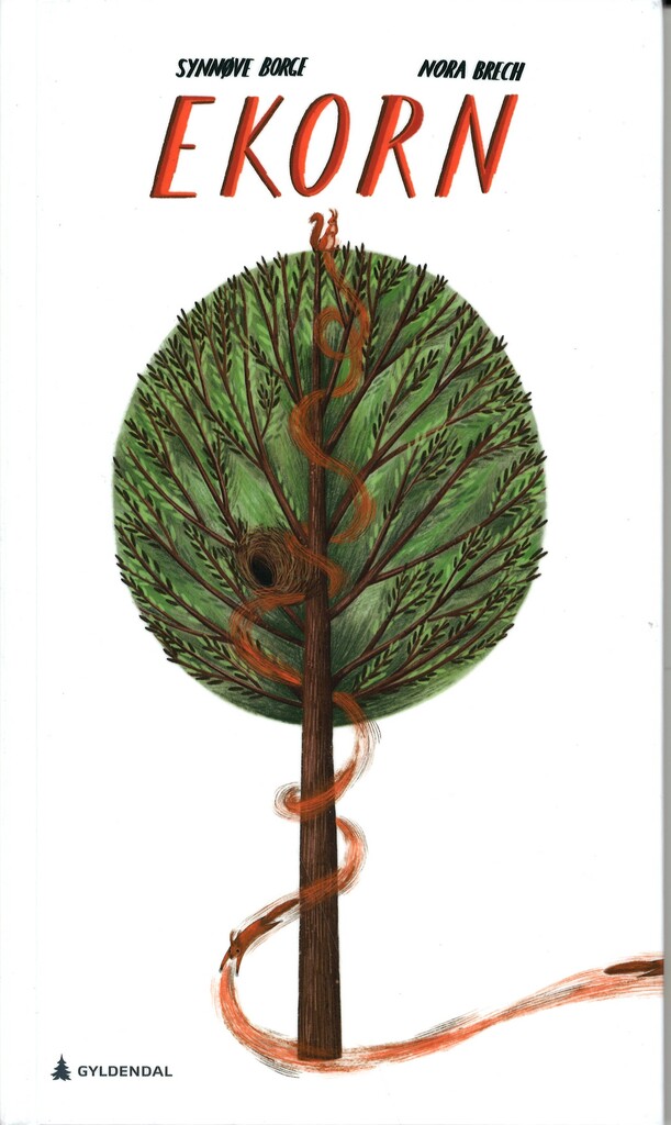 Ekorn : sciurus vulgaris