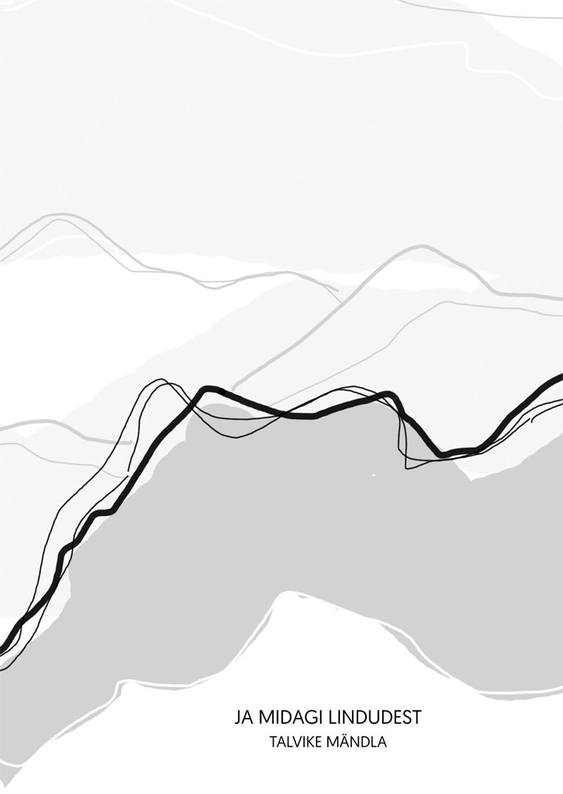 Ja midagi lindudest (Hardcover)