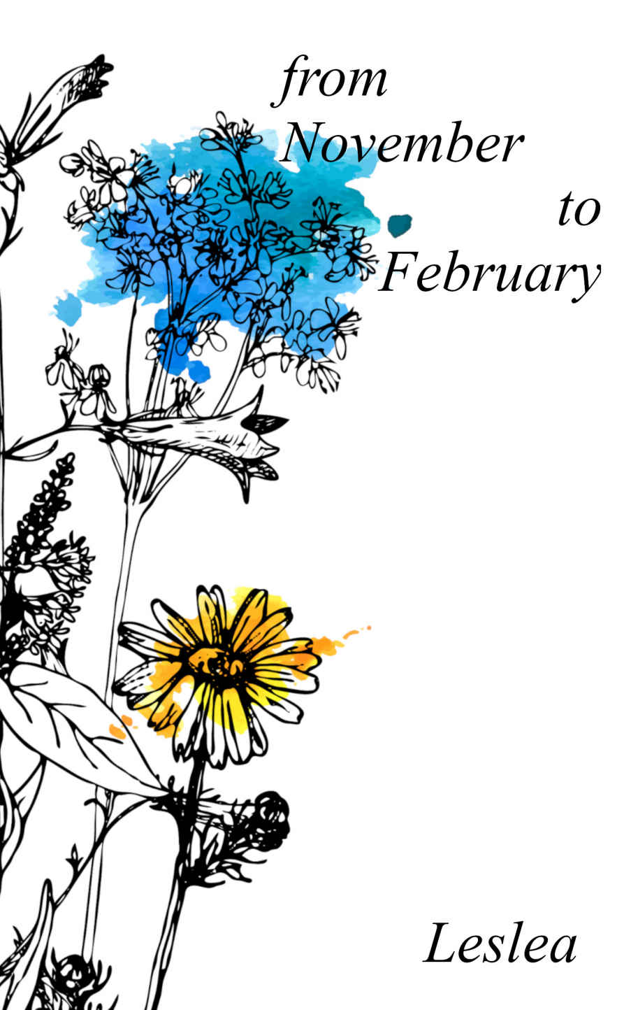 From November to February