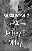 The Slot Canyon
