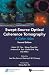 Swept-Source Optical Coherence Tomography by Kelvin Y C Teo