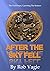 After The Sky Fell by Rob Vagle