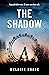 The Shadow by Melanie Raabe