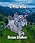 Dracula- Annotated with Summary