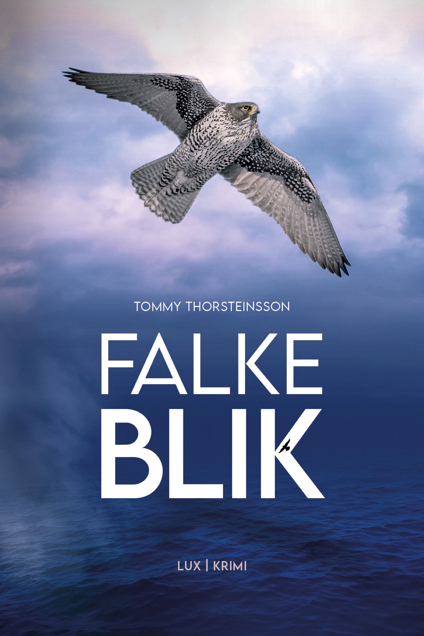 Falkeblik (Anna Blaafalk, #3)