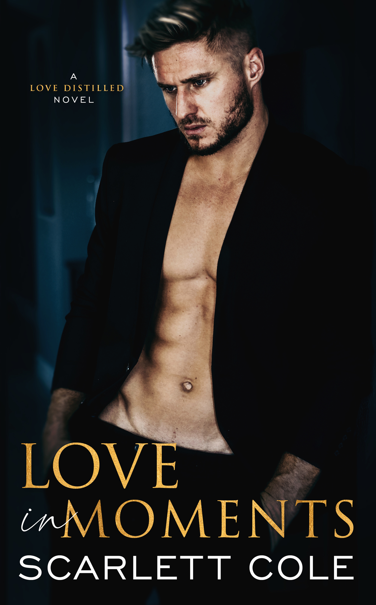 Love In Moments (Love Distilled, # 2)