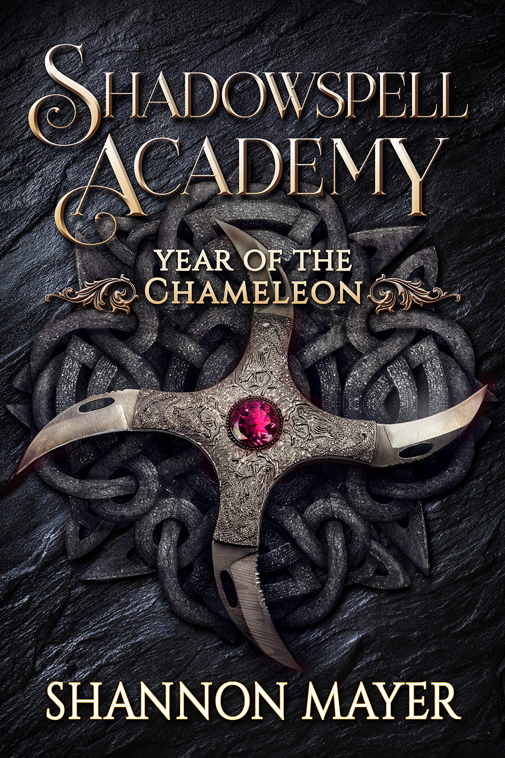 Year of the Chameleon (Shadowspell Academy, #4)