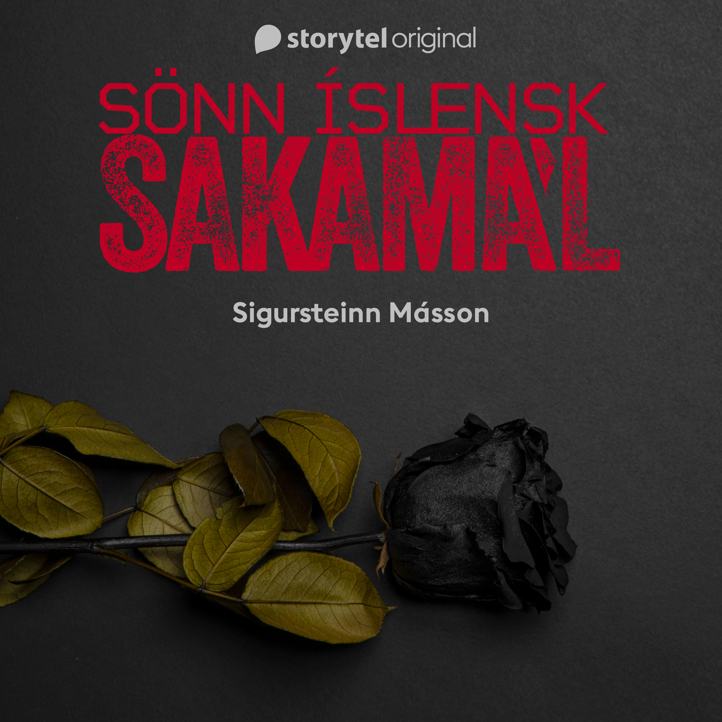 Sönn íslensk sakamál s3 (Sönn íslensk sakamál, #3)