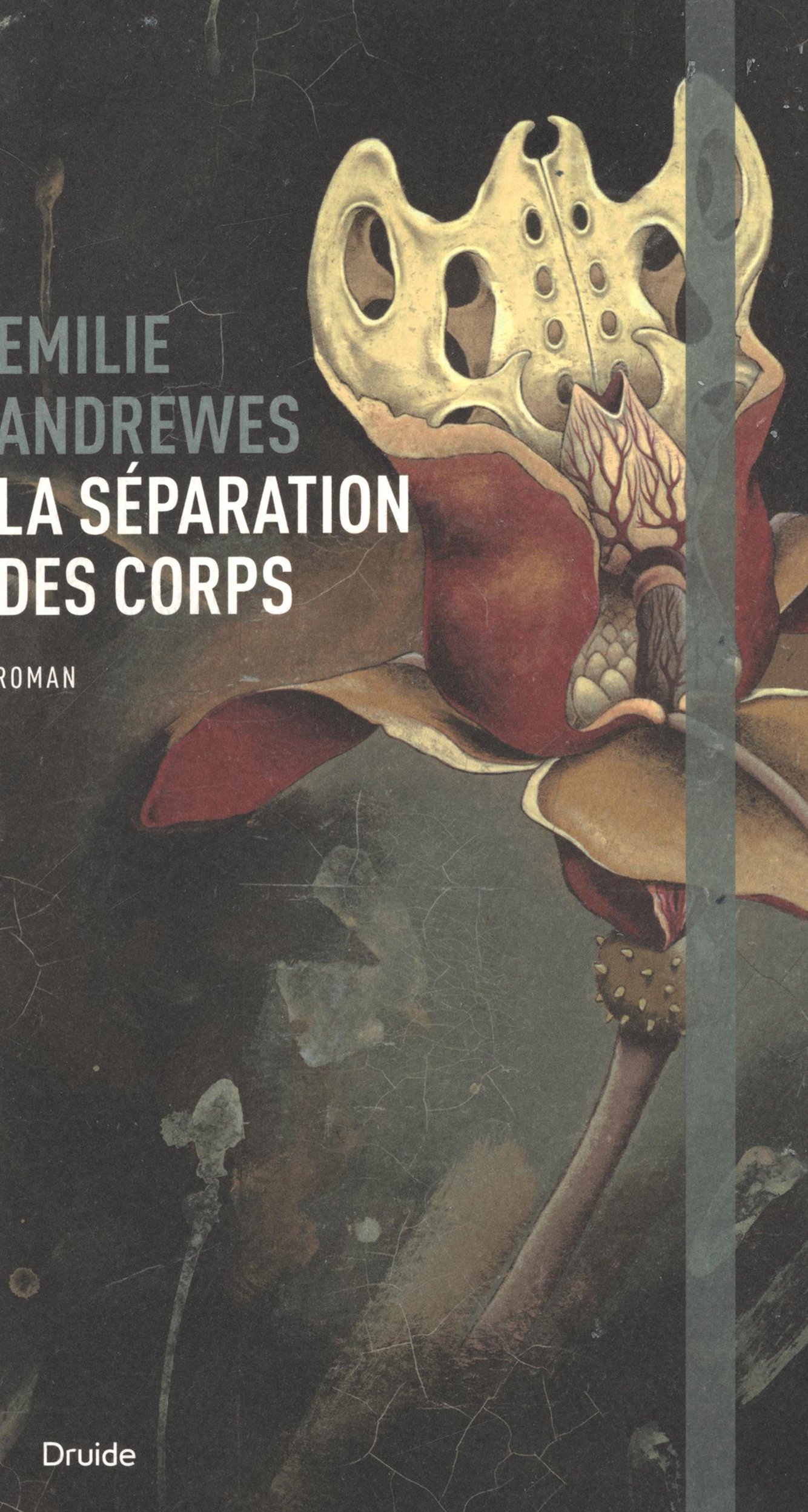 LA SEPARATION DES CORPS (Paperback)