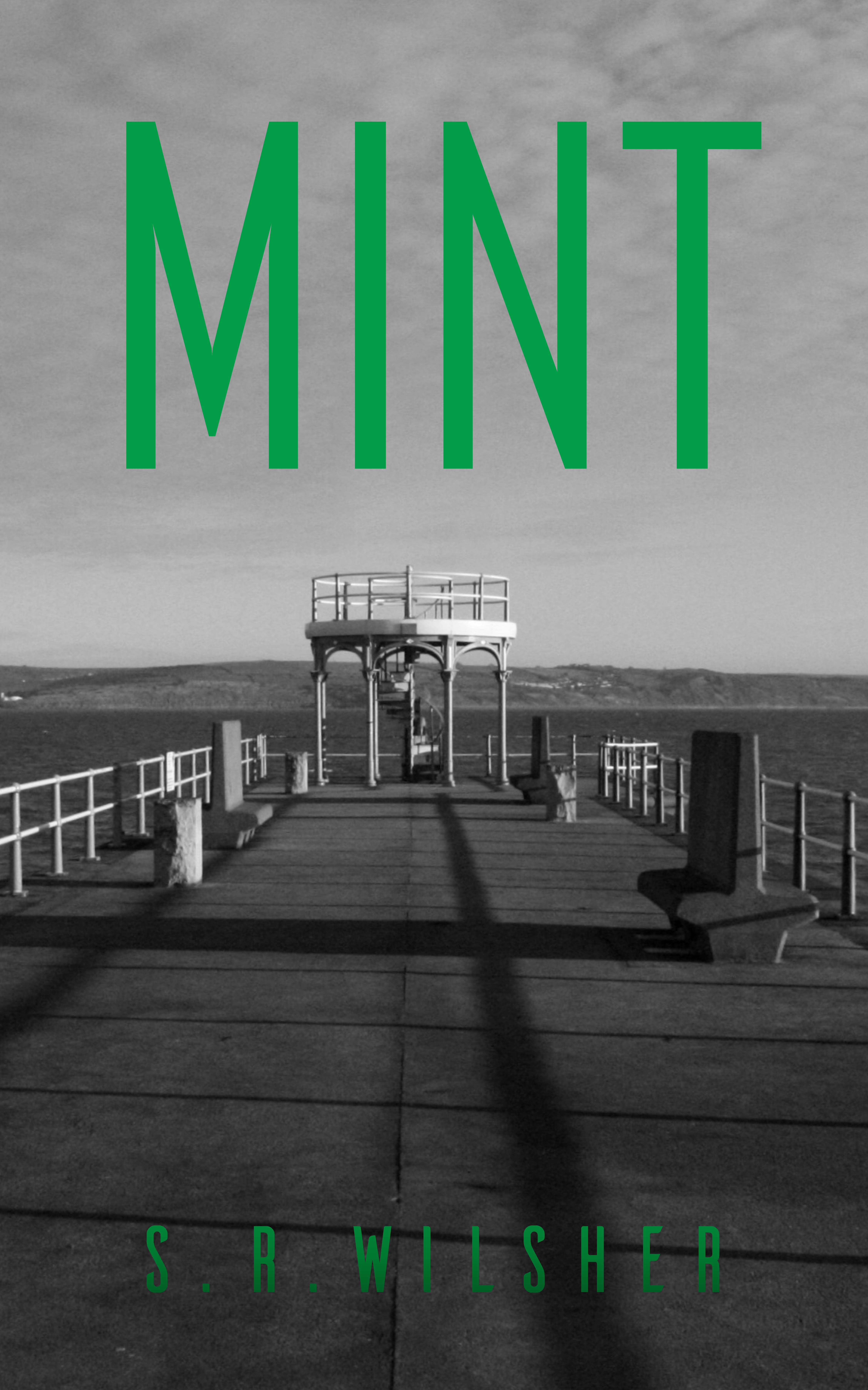 Mint (Kindle Edition)