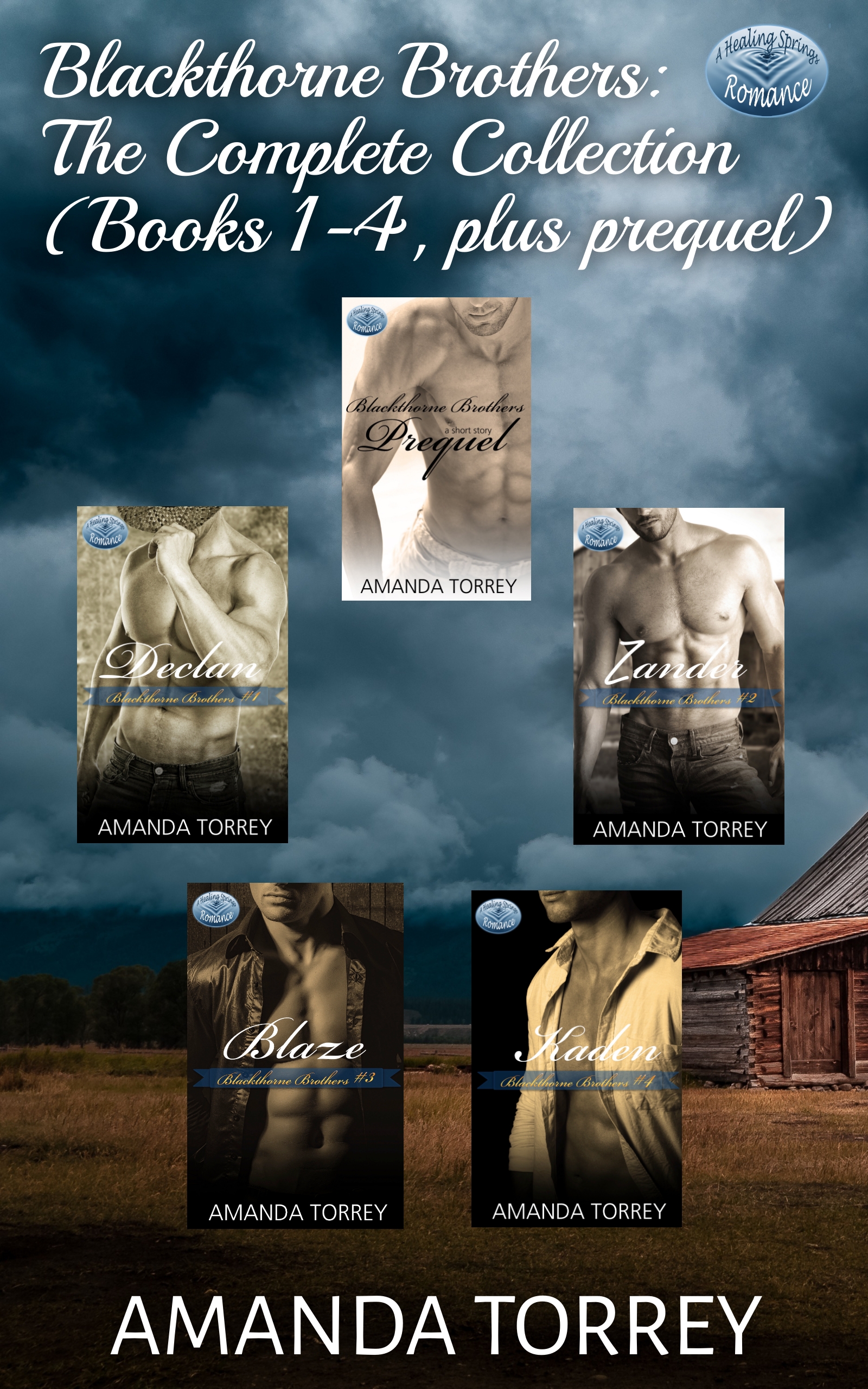 Blackthorne Brothers: The Complete Collection: Books 1-4, plus prequel (Healing Springs Book 6)