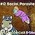 Social Parasite