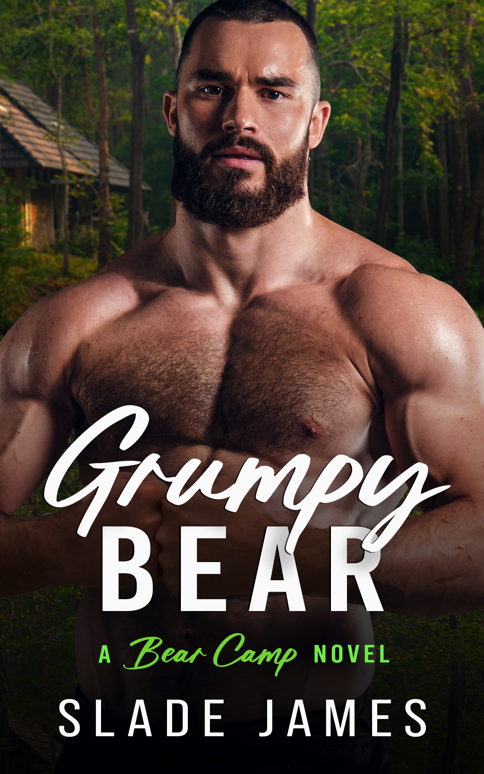 Grumpy Bear (Bear Camp, #1)