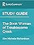 Study Guide: The Book Woman of Troublesome Creek by Kim Michele Richardson (SuperSummary)