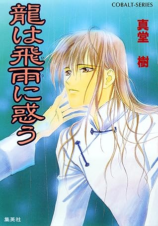 龍は飛雨に惑う 四龍島 By 真堂樹