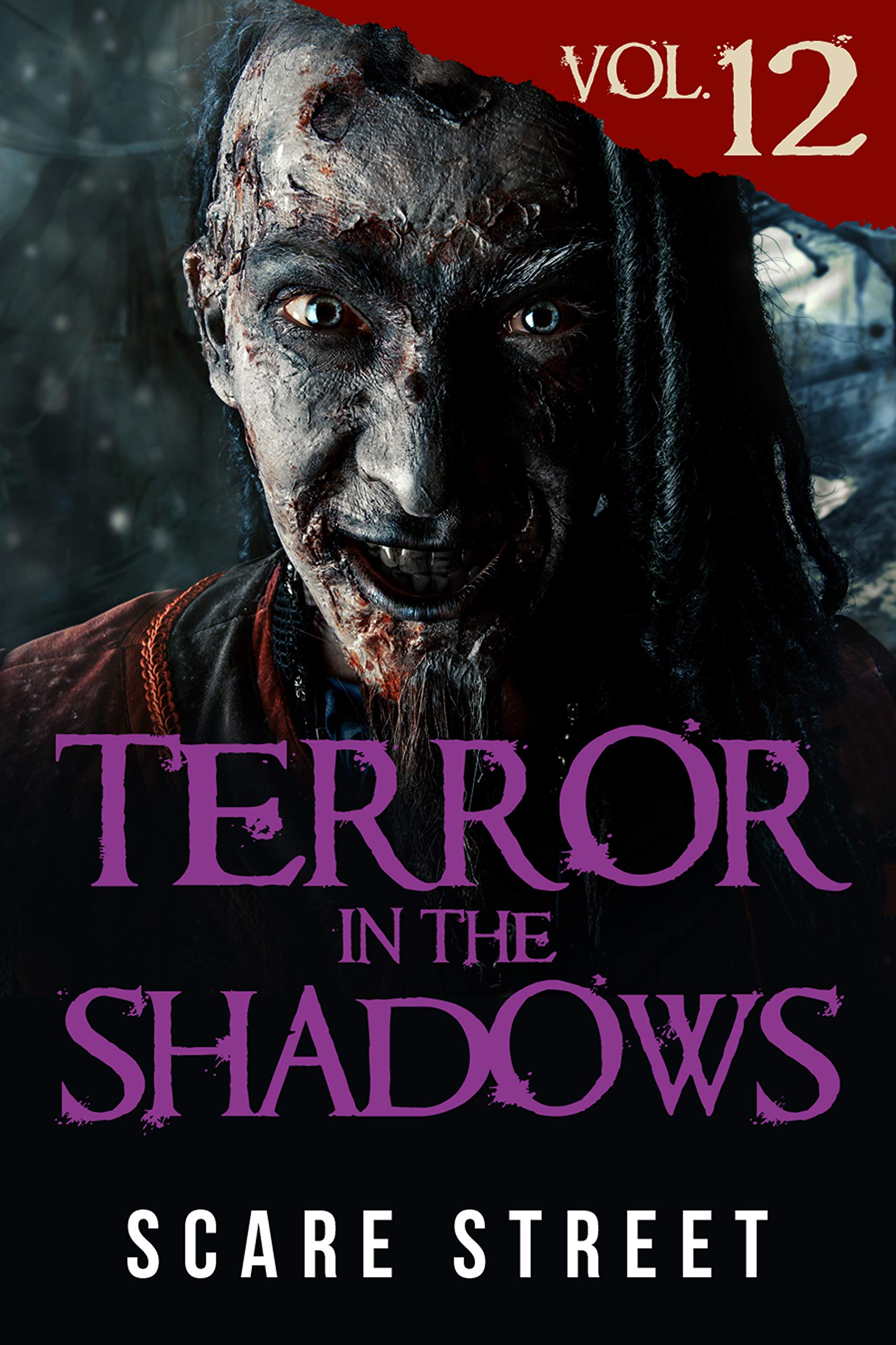 Terror in the Shadows Vol. 12 (Kindle Edition)