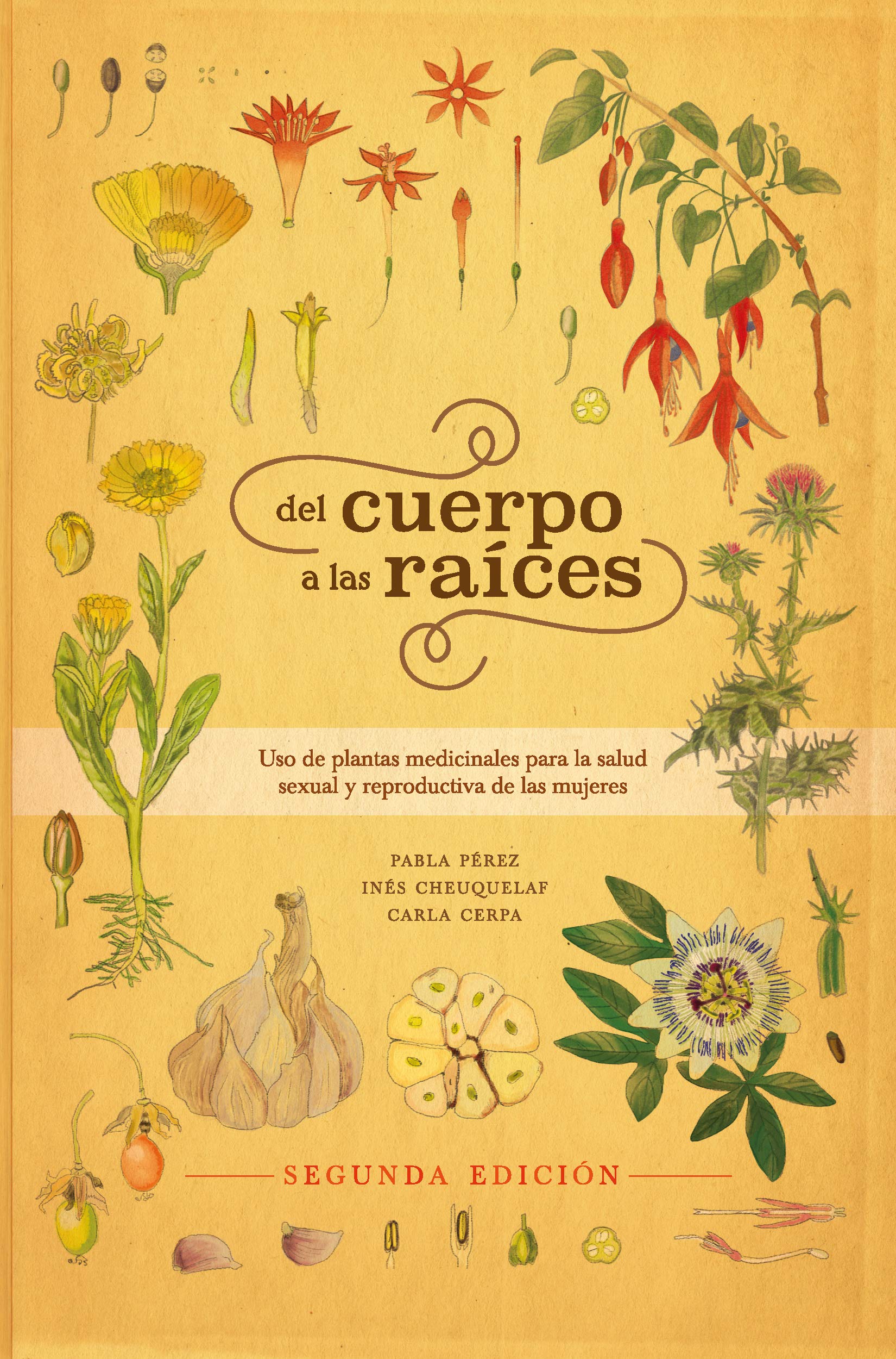 Del cuerpo a las raíces: Uso de plantas medicinales para la salud sexual y reproductiva de las mujeres (Spanish Edition)