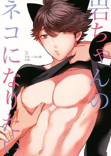 岩ちゃんのネコになりたい 3 [Iwachan no Neko ni Naritai 3]
