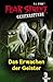 Das Erwachen der Geister (Fear Street Geisterstunde) by R.L. Stine