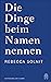 Die Dinge beim Namen nennen: Essays
