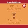Dragonfly in Amber