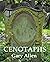 Cenotaphs