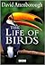 The Life of Birds