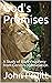 God's Promises by John Pruitt